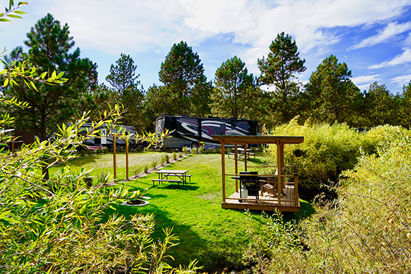 Camp site at Larsson’s Crooked Creek