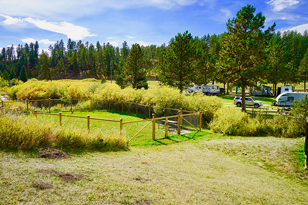 Dog Park at Larsson’s Crooked Creek