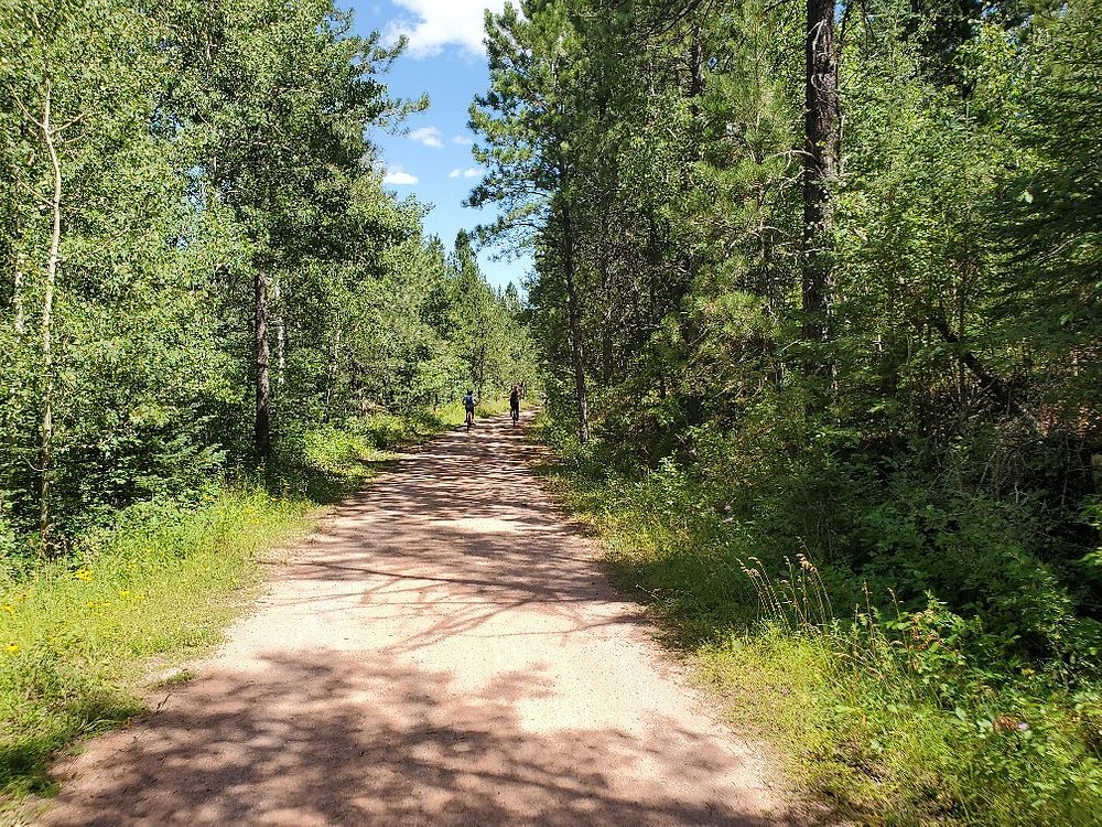 A sunny dirt road