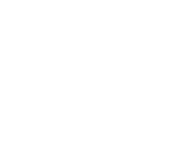 Alpine Inn Logo