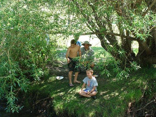 creek side fishing at Larsson’s Crooked Creek